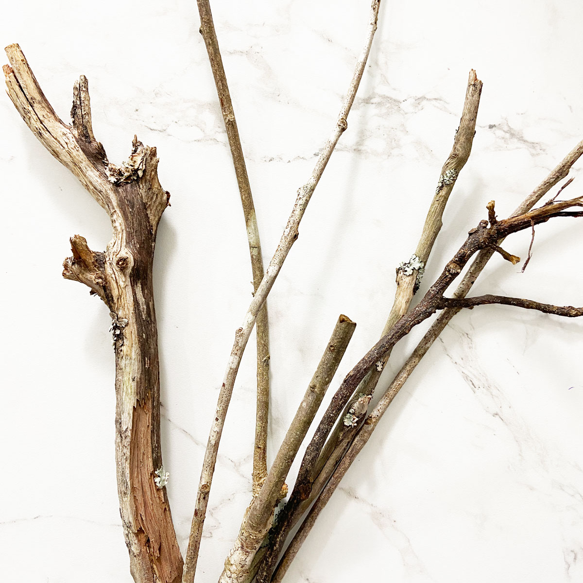 Add a Unique and Easy Tree Branch Centerpiece to Your Home